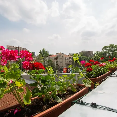 The Linden Appartement Bucarest