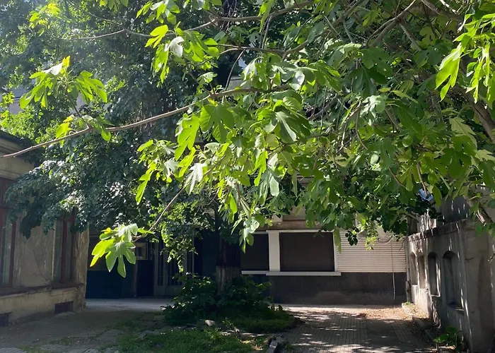 Apartmán The Linden *